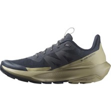 Salomon ELIXIR ACTIV Gri Erkek Outdoor