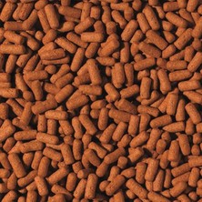 Tropical Cichlid Arowana Large Sticks 250GR Kovadan Bölme