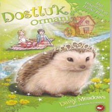 Beyaz Balina Yayınları Dostluk Ormanı 6 - Inci Dikenlisırtın Harika Planı