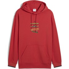 Puma Wardrobe Ess Graphic Hoodie