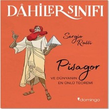 Domingo Yayınevi Dahiler Sınıfı - Pisagor ve Dünyanın En Ünlü Teoremi
