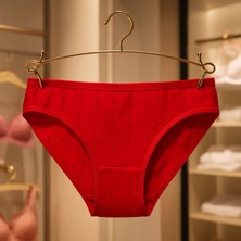Gümüş Jakarlı Bikini Külot 12 Adet Karışık Renk Büyük Kalıp
