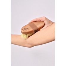 %100 Doğal Tampiko Otu Fırçası (Vegan)
