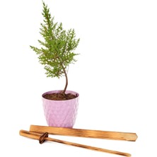 El Yapımı Doğal Ahşap Oyuncak Kılıç, Çocuklar Için Güvenli ve Eğlenceli Seçim