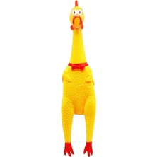 Küçük Sesli Horoz