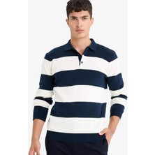 DeFacto Standart Fit Polo Yaka Düğmeli Renk Bloklu Triko Kazak Y4194AZ25WN