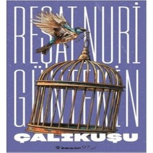 Çalıkuşu (Yeni Kapak)