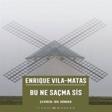 Bu Ne Saçma Sis