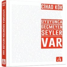 Uyuyunca Geçmeyen Şeyler Var