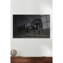 Siyah Asil At Portresi Cam Tablo, Modern Ev Ofis Dekoru, Hediyelik Duvar Dekorasyonu, Kırılmaz Cam