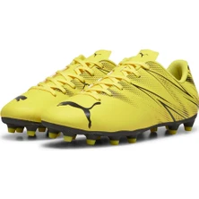Puma Krampon
