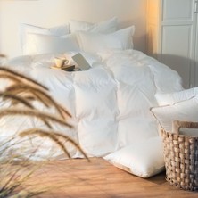 Penelope Serin Etkili Double "velvet" Paketi