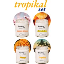 4 Adet Doğal Özel Seri Kokulu Dekoratif Kavanoz Mum 4X210 cc - Tropikal Set - RYL