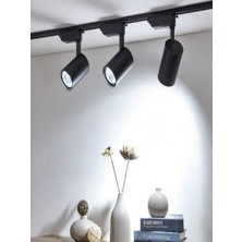 Noas Ray Spot 30W Siyah Kasa LED(1adet)