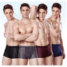 Dikişsiz Buz Ipek Ter Uzaklaştıran Spor Sürdürülebilir Özel Erkek Iç Giyim 4 Parça 1001 Boxer