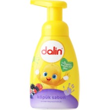 Bfs  Dalin Köpük Sabun Orman Meyveli Kokulu 200 ml