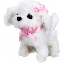 Bfs   Sunman Sevimli Köpek Maltese