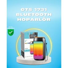 Techno Stock Gts 1731 Bluetooth Hoparlör – Şarjlı, Led Işıklı, Fm Radyo Destekli