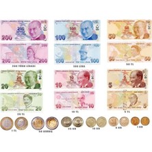 Renkli ve Şık Tasarımlı Çok Fonksiyonlu Ev Dekoru Aksesuarları