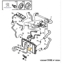 Su Hortumu Peugeot    Peugeot, Cıtroen 1317.R6