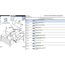 Radyatör Üst Hortumu Peugeot    Cıtroen, Peugeot 1343.JP
