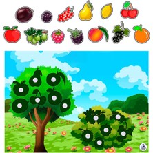 Çocuklar Için Meyve Temalı Zeka ve Hafıza Geliştirme Eğitici Kart Oyunu