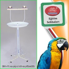 Dayang Papağan Eğitim Sehbası 70X145CM Beyaz