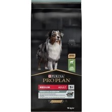 Pro Plan Adult Kuzu Etli Yetişkin Köpek Maması 14 kg