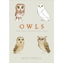 Owls : Our Most Enchanting Bird