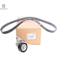 Alternatör Kiti  1007-207-301-307-308 1.4/1.6