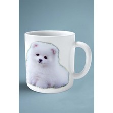 Pomeranian Köpek Isimli Kişiye Özel Baskılı Kupa Bardak Hayal