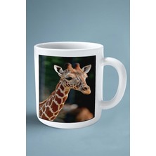 Zürefa Baskılı Kupa Bardak Çift Taraflı Kişiye Özel Çerçeveli Renkli Model 8