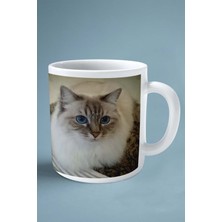 Birman Kedisi Kedi Isimli Kişiye Özel Baskılı Kupa Bardak Model 3