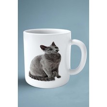 Mavi Rus Kedisi Kedi Isimli Kişiye Özel Baskılı Kupa Bardak Model 6