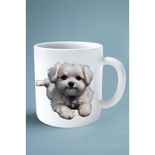 Maltese Terrier Köpek Isimli Kişiye Özel Baskılı Kupa Bardak Yatak