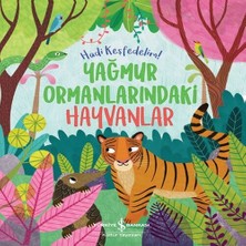 Yağmur Ormanlarındaki Hayvanlar – Hadi Keşfedelim!