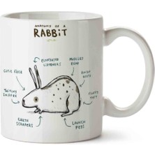 Tavşan Anatomisi Anatomy Of A Rabbit Iki Tarafı Baskılı Kupa Bardak