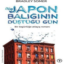 Bir Japon Balığının Düştüğü Gün