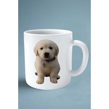 Golden Retriever Köpek Isimli Kişiye Özel Baskılı Kupa Bardak Tasma Anahtar