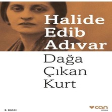 Dağa Çıkan Kurt