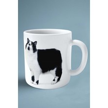 Cymric Kedisi Kedi Isimli Kişiye Özel Baskılı Kupa Bardak Model 6