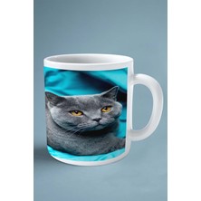 British Shorthairt Kedi Isimli Kişiye Özel Baskılı Kupa Bardak Mavi