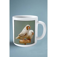 Hint Bülbülü Baskılı Kupa Bardak Çift Taraflı Kişiye Özel Çerçeveli Renkli Model 4