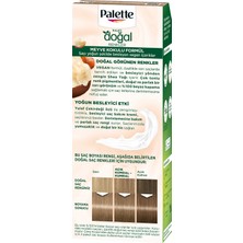 Palette Saç Boyası & Doğal Renkler Colors 8/16 Küllü Sarı 50Ml