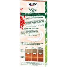 Palette Saç Boyası & Doğal Renkler Colors 8/77 Tarçın Bakır