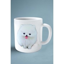 Pomeranian Köpek Isimli Kişiye Özel Baskılı Kupa Bardak Minik Minyatür