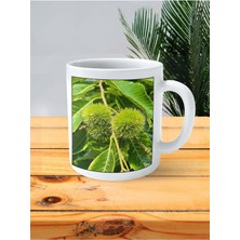 At Kestanesi Baskılı Kupa Bardak Kişiye Özel Desen 1