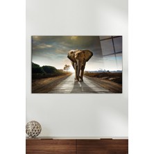 Fil ve Yol Yatay Cam Tablo, Modern Ev Ofis Dekoru, Hediyelik Duvar Dekorasyonu, Kırılmaz Cam