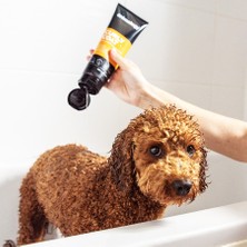Animology Curly Coat Kıvırcık Tüylü Köpek Şampuanı 250 ml