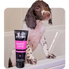 Animology Puppy Love Köpek Şampuanı 250 ML